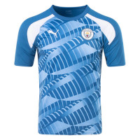 Манчестер Сити футболка тренировочная 2023-2024 голубая с белым